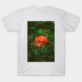 Pacific Northwest Coral Fungi T-Shirt